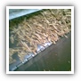 LEAF TOBACCO SHREDDED TOBACCO raw tobacco leaf dark air cured tobacco rustica tobacco FLUE CURED TOBACCO